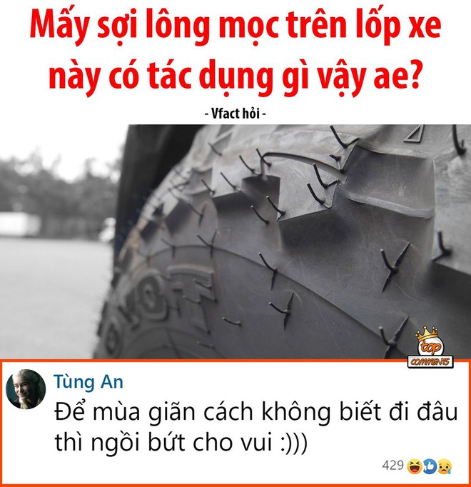 Phần lông mọc trên lốp xe có tác dụng gì, phải chăng là để ngồi bứt cho vui trong mùa giãn cách? - Ảnh 1.