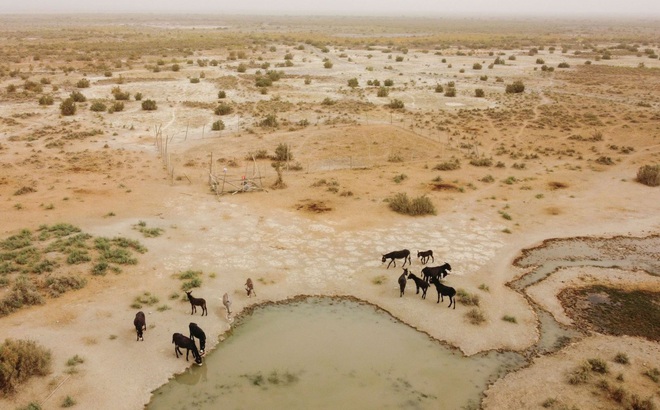 Lò phản ứng hạt nhân muối nóng chảy có thể được xây dưgj trên sa mạc khan hiếm nước. Ảnh: Reuters.