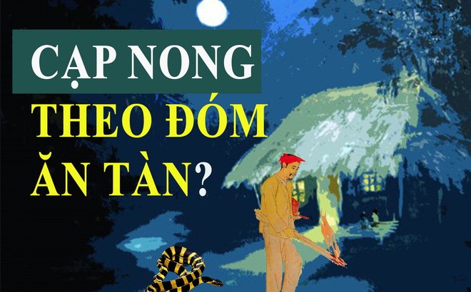 Cạp nong có thật là loài rắn 'theo đóm ăn tàn'? Ảnh: Thành Luân