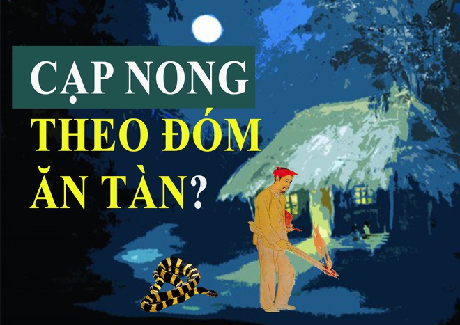 Thực hư quan niệm dân gian Cạp nong theo đóm ăn tàn, chủ động đi theo con người - Ảnh 1.