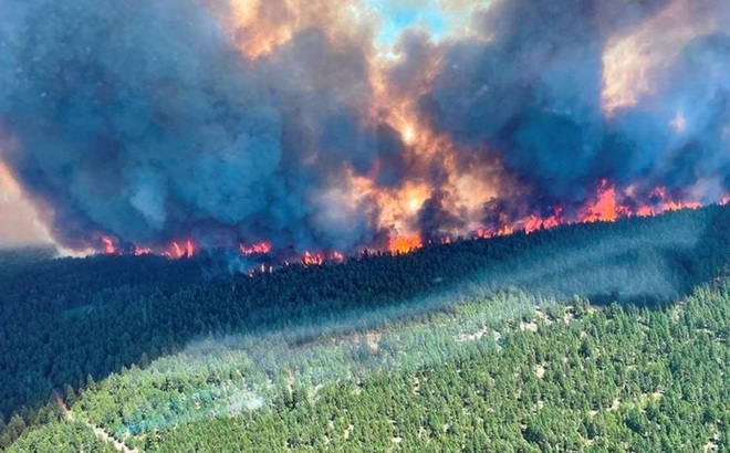 Cháy rừng ở British Columbia, Colombia ngày 29/6/2021. Ảnh: Reuters