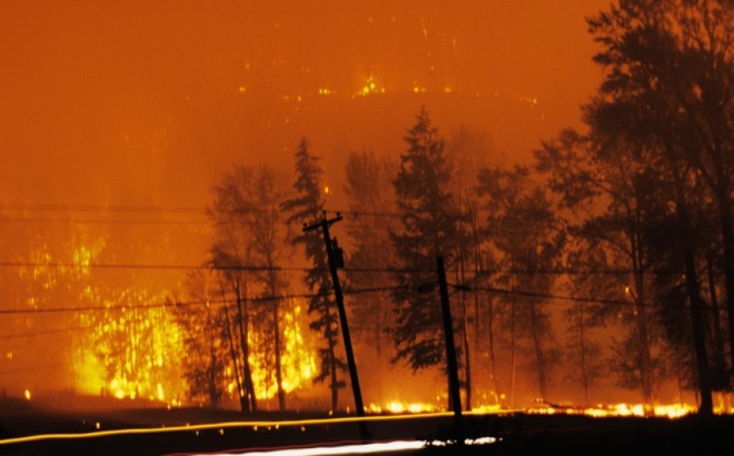 Cháy rừng tại Canada. Ảnh: AP