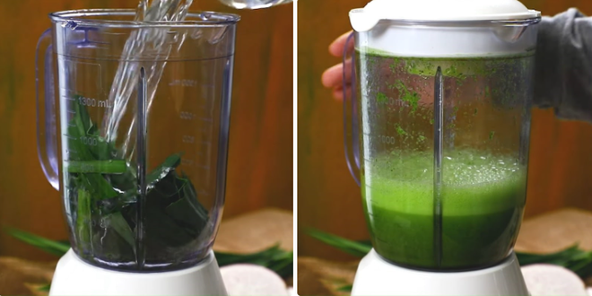 Cách làm chè khoai môn nếp lá dứa - Ảnh 2. Cách làm chè khoai môn nếp lá dứa - Ảnh 2.