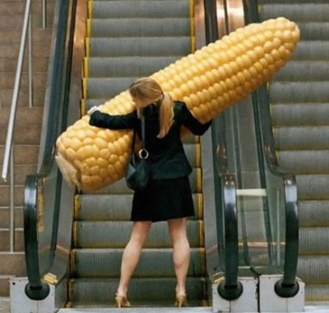 Những hình ảnh khiến người xem phải ‘đau đầu’ suy nghĩ - Ảnh 1.