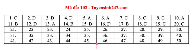 [CẬP NHẬT] Đáp án tất cả các mã đề môn Toán kỳ thi THPT Quốc gia 2021 - Ảnh 8.