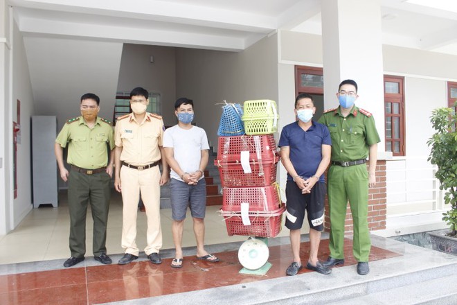 Thay biển số giả để chở 7 con hổ đi giao cho khách, lùi xe đâm nát đầu xe cảnh sát để chạy trốn - Ảnh 6. Thay biển số giả để chở 7 con hổ đi giao cho khách, lùi xe đâm nát đầu xe cảnh sát để chạy trốn - Ảnh 6.