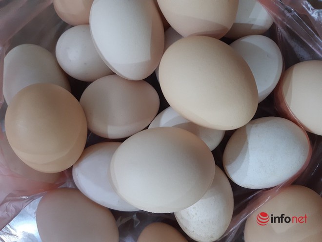 Nghịch lý giá gà rẻ hơn rau, trứng lại khan hiếm giá đắt đỏ - Ảnh 2.