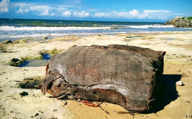 Một thùng hàng bí ẩn trên bãi biển Brazil. Ảnh: DW