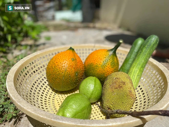 Về quê tránh dịch, thanh niên được bố trí ở tách biệt giữa vườn: Ngày ngày tự hái rau, câu tôm cá nấu cơm  - Ảnh 4.