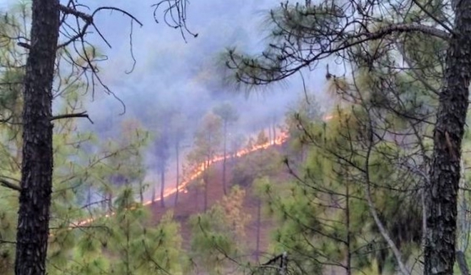 10 vụ cháy rừng tồi tệ nhất thế giới từng chứng kiến - Ảnh 5.