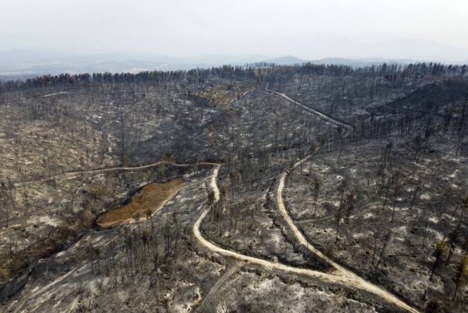 Cháy rừng Hy Lạp: Thảm họa sinh thái lớn nhất trong nhiều thập kỷ - Ảnh 1.