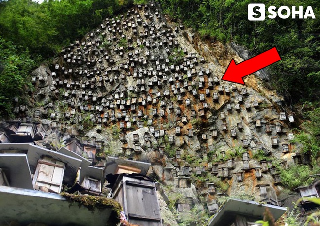 Gần 700 thùng gỗ được treo trên vách đá cao 1.200m ở Trung Quốc, lý do đằng sau là gì? - Ảnh 1.