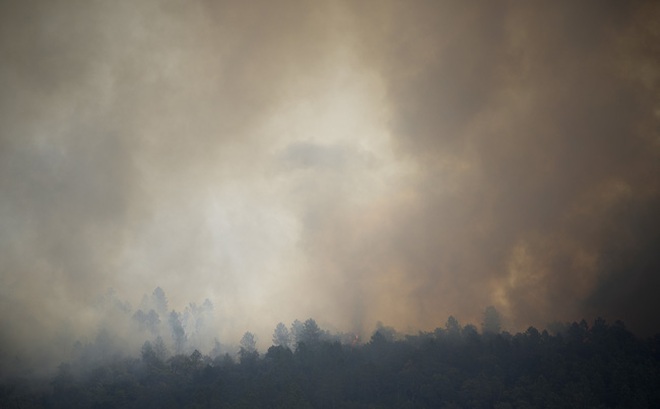 Cháy rừng đã diễn ra trong nhiều ngày qua tại Pháp. (Ảnh: AP)