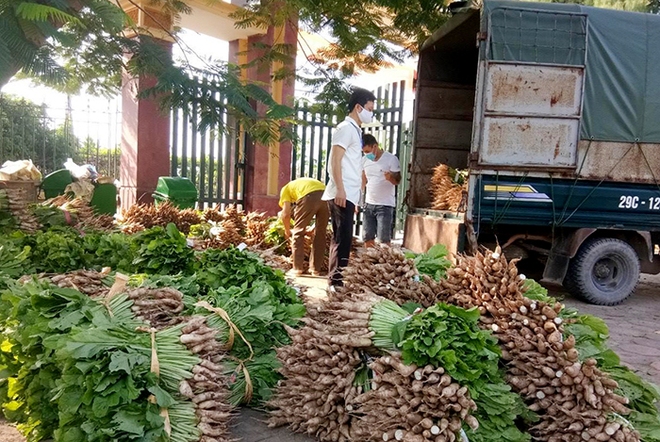 Hành động thiết thực giúp nông dân vượt qua đại dịch  - Ảnh 1.