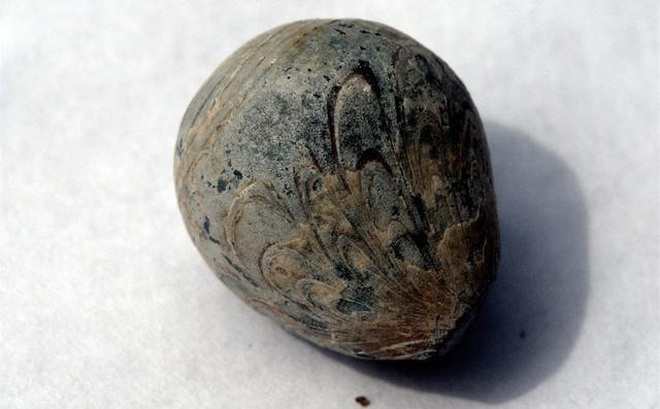 Viên đá khi ở trạng thái khô trông rất bình thường, không có gì đặc biệt. (Ảnh: Kknews)