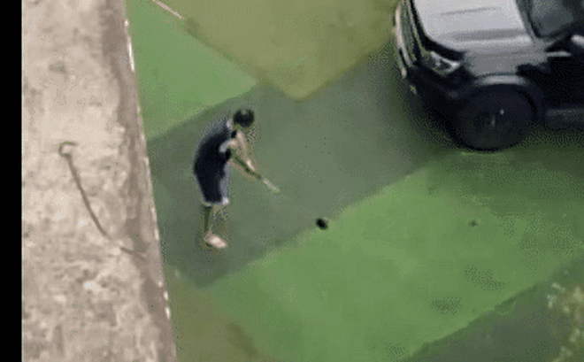 Ảnh cắt từ clip của VTV