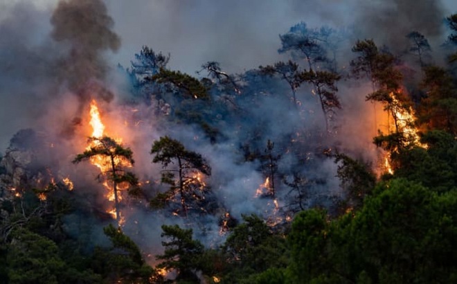 Cháy rừng ở Mugla, quận Marmaris, Thổ Nhĩ Kỳ ngày 2/8/2021. Ảnh: AFP