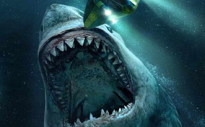 2 viên đá đó là răng hóa thạch của loài cá mập khổng lồ thời tiền sử - Megalodon. (Ảnh: Kknews)