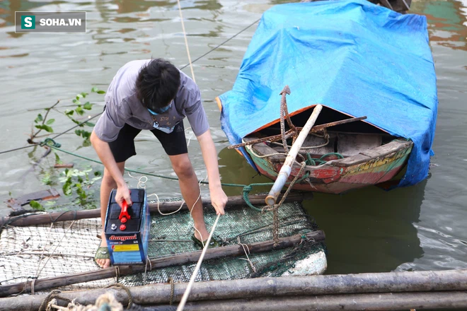 Dân hối hả neo thuyền, dầm mình trong nước gặt lúa, thu hoạch rau chạy bão Côn Sơn - Ảnh 3.