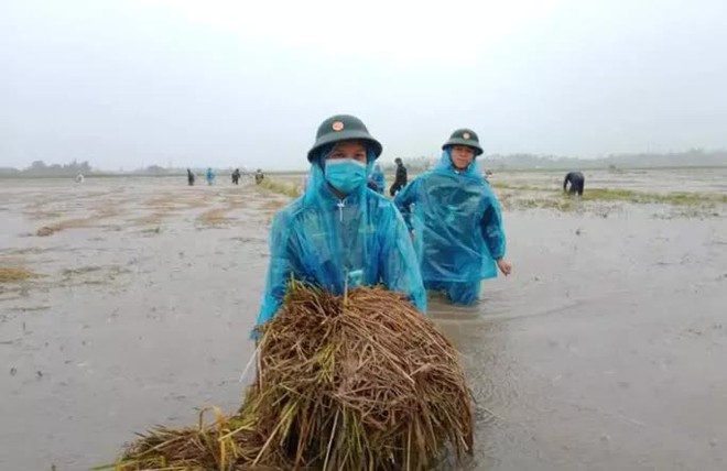  Quảng Ngãi mưa trắng trời, nhiều nơi ngập nặng, lũ lên nhanh  - Ảnh 8.