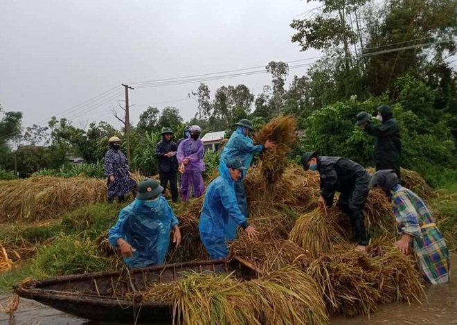  Quảng Ngãi mưa trắng trời, nhiều nơi ngập nặng, lũ lên nhanh  - Ảnh 9.