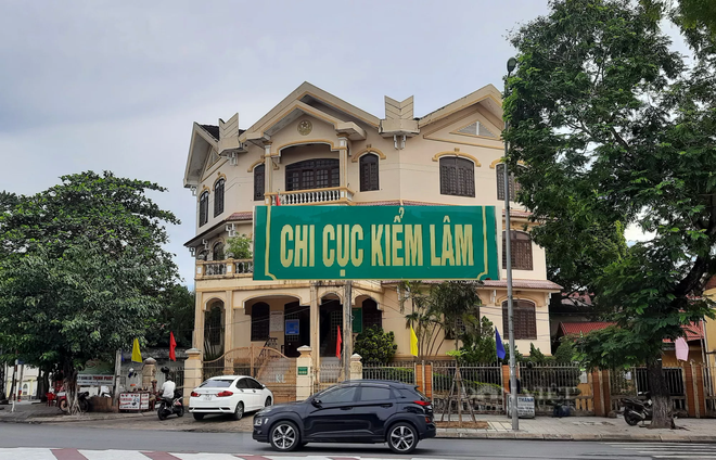  Chi cục trưởng Kiểm lâm tỉnh Quảng Trị trần tình về sai phạm hơn 1 tỷ đồng của cơ quan - Ảnh 3.