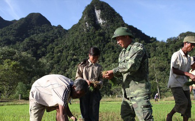 Bộ đội Biên phòng dạy người Rục trồng lúa nước