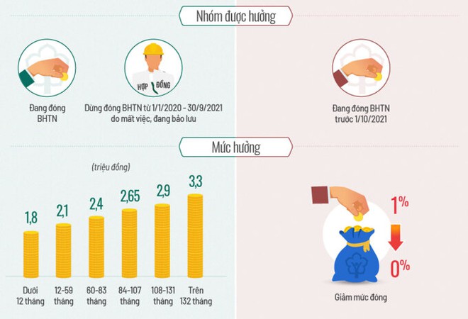 Hơn 10 triệu người sẽ nhận tiền hỗ trợ Covid-19 qua tài khoản. Ca sĩ Phi Nhung qua đời vì Covid-19 - Ảnh 1.