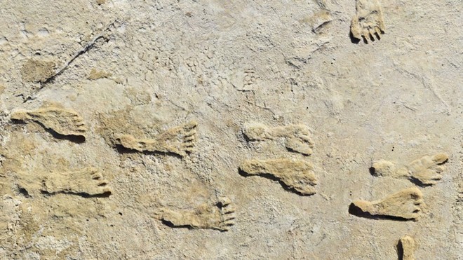 Tìm thấy dấu chân sớm hơn của con người ở châu Mỹ - Ảnh 2.