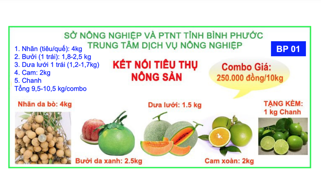 TPHCM triển khai bán combo nông sản 10kg giá chỉ 100.000 đồng - Ảnh 11.