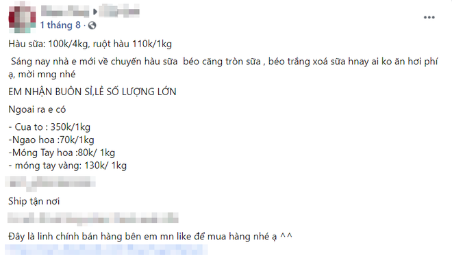 Hàu sữa Quảng Ninh ruột béo múp rớt giá chỉ 20 nghìn/kg bán tấp nập trên chợ mạng - Ảnh 4.