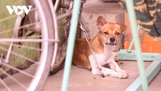 Vợ mất vì Covid-19, chồng còn 1 triệu đồng trong túi và khoản nợ chưa trả - Ảnh 4.