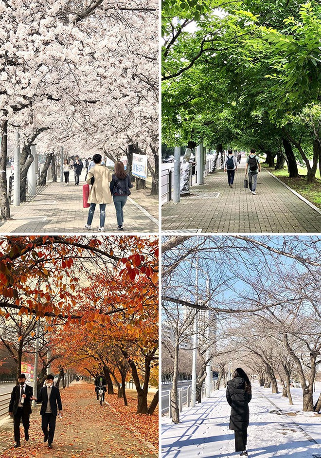 Những điều th&uacute; vị ở H&agrave;n Quốc khiến nhiều người kinh ngạc - Ảnh 5.