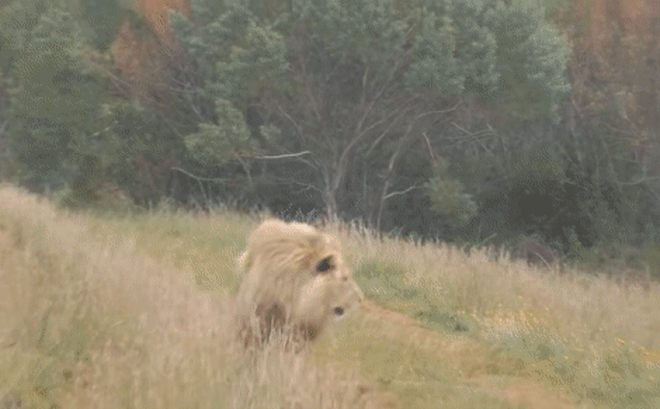 Ảnh: Cắt từ video trong bài