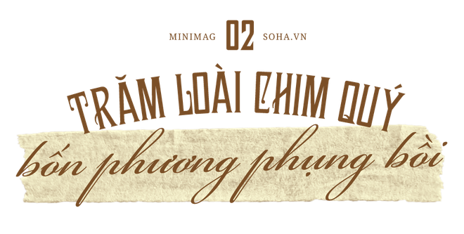 Bình sứ Càn Long lập kỷ lục đắt nhất thế giới: Hồ sơ kinh điển chứng minh con số 9.351 tỷ đồng! - Ảnh 6. Bình sứ Càn Long lập kỷ lục đắt nhất thế giới: Hồ sơ kinh điển chứng minh con số 9.351 tỷ đồng! - Ảnh 6.