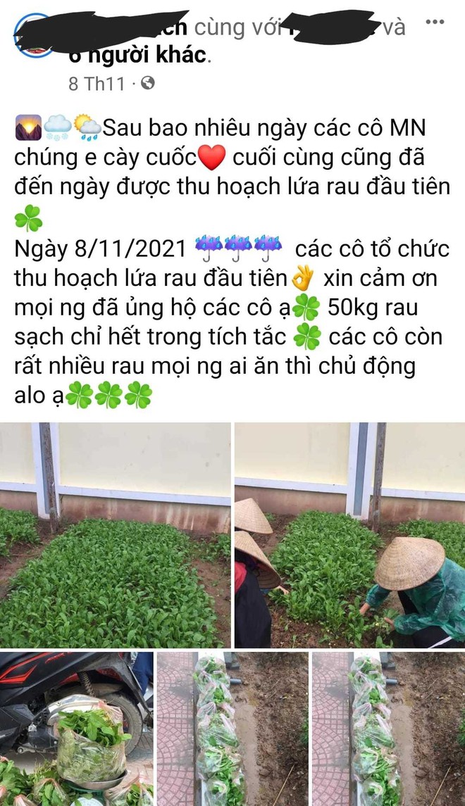 Lương + thưởng = 0, cô giáo mầm non tư thục chật vật kiếm thêm lo Tết - Ảnh 2.