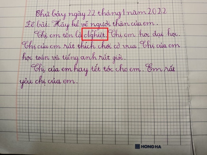 Chị gái ‘dở khóc dở cười’ vì lỗi kỹ thuật trong bài văn của em gái - Ảnh 1.