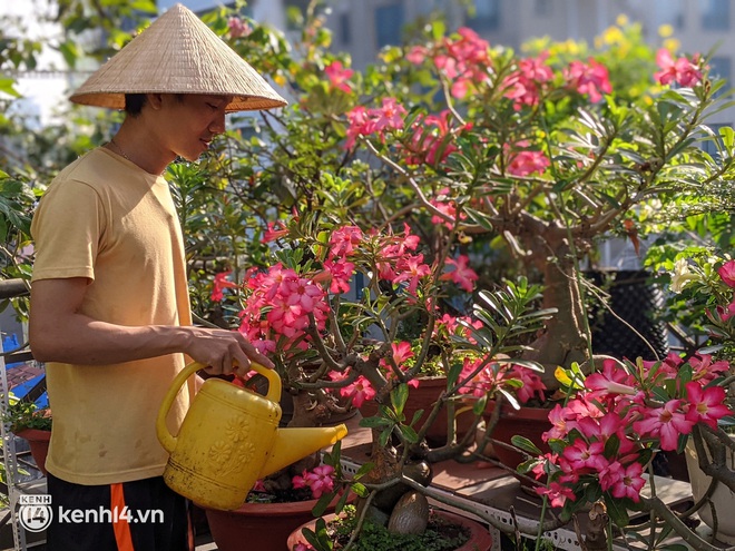 Chàng kiến trúc sư trẻ biến sân thượng thuê trọ thành vườn cây trái sum suê, nổi bật giữa trung tâm Sài Gòn - Ảnh 5.