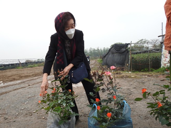 Hành trình của 350 triệu bông hoa từ huyện Mê Linh - Ảnh 3.