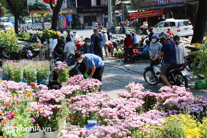 Giờ chỉ còn 20k, 30k/chậu mà có người vẫn trả giá thì chịu, chị không bán, thà lỗ luôn - Ảnh 1.