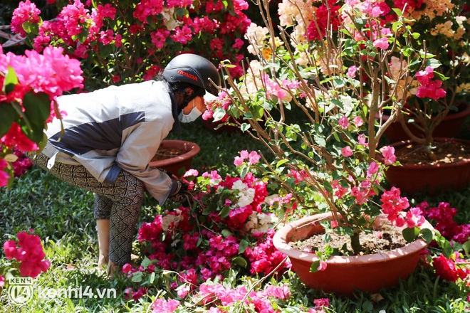 Nhiều người dân tranh thủ đến xin đất, lượm hoa mang về trưa 29 Tết - Ảnh 3.