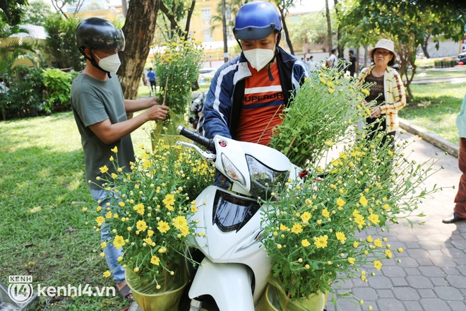 Giờ chỉ còn 20k, 30k/chậu mà có người vẫn trả giá thì chịu, chị không bán, thà lỗ luôn - Ảnh 12.