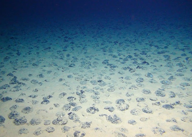 Mổ xẻ ụ đất dưới đáy biển sâu 4000m, chuyên gia kinh ngạc vì thứ đắt giá bên trong - Ảnh 1.
