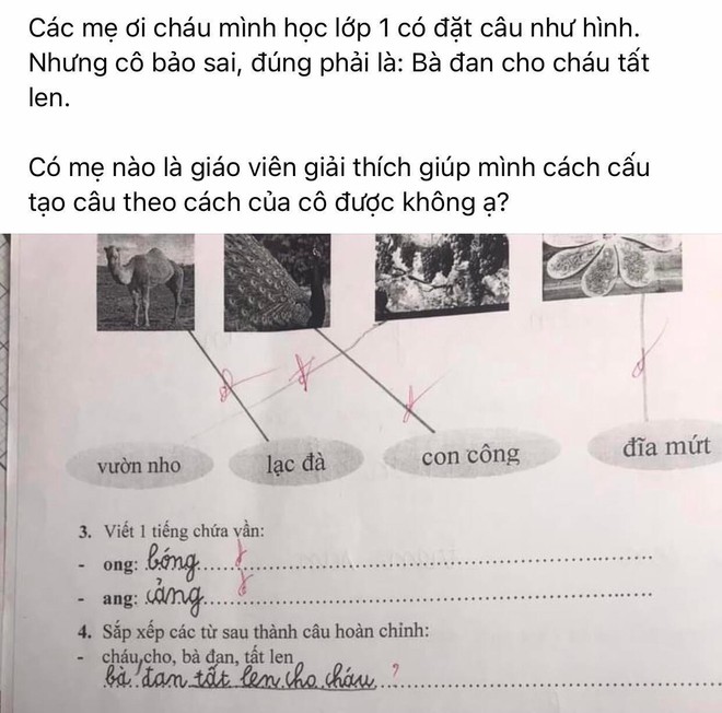 Đáp án bài tập tiếng Việt lớp 1 của giáo viên khiến phụ huynh hoang mang - Ảnh 1.