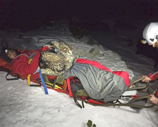 Chú chó trung thành ở bên và sưởi ấm cho chủ suốt 13 tiếng sau khi gặp nạn trên núi tuyết - Ảnh 2.