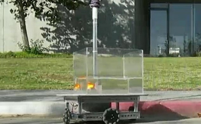 Cá vàng được huấn luyện để vận hành robot có gắn bánh xe độc đáo. Ảnh: Daily Mail