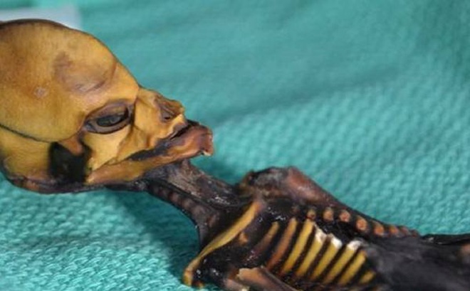 Bí ẩn về bộ xương 'người ngoài hành tinh' chỉ dài hơn 15 cm với đầu hình nón khiến các nhà khoa học bối rối đã được giải đáp.