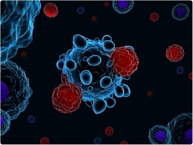 Vì sao có đến 7 mũi tiêm vắc xin? Bí mật về tế bào T ở người sẽ không bao giờ bị nhiễm Covid-19 - Ảnh 1.