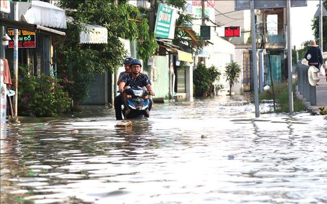 Triều cường gây ngập sâu tại khu vực cầu Phú Xuân, tiếp giáp huyện Nhà Bè và quận 7, TP Hồ Chí Minh. Ảnh tư liệu: Trần Xuân Tình/TTXVN