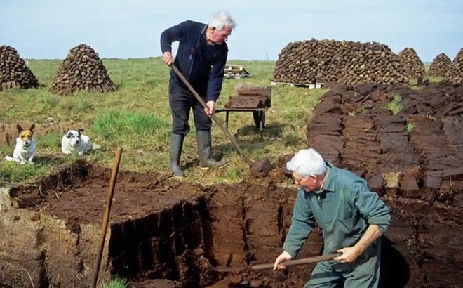 Người dân ở Ireland khai thác than bùn vào mùa xuân và sử dụng để sưởi ấm vào mùa đông - Ảnh: THE GUARDIAN